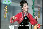 孙成打酒下载