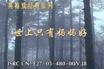 世上只有妈妈好 全集下载