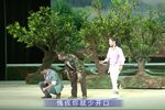 桃花开了 全集