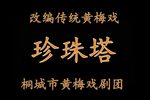 珍珠塔 全集