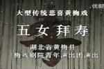 五女拜寿下载