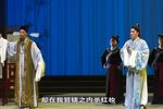 血掌记 全集下载