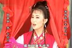 半边月 全集下载