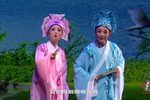 山伯访友 全集