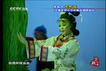 槐树谣 全集