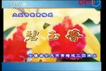 碧玉簪下载