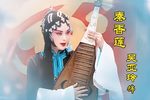 秦香莲 全集下载