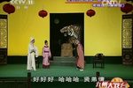 富贵图 全集下载