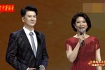 黄梅戏艺术节戏曲演唱会