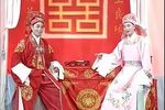 双头记 全集