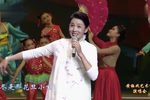 黄梅戏黄梅戏艺术节演唱会
