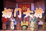 杨门女将 全集
