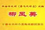 柳凤英 全集