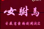 女驸马下载