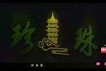 珍珠塔 全集