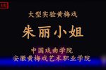 朱丽小姐下载