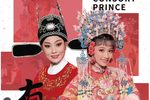 女驸马 全集下载