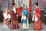 双玉婵 全集