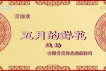 五月的鲜花