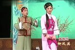 柳凤英 全集下载