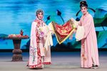 红罗帕 全集下载