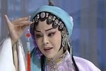 双玉婵 全集下载