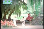 桃花扇 全集