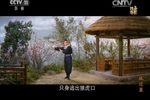 凤还巢 全集