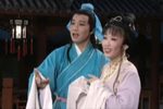 天仙配 全集下载