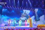 璀璨梨园戏曲演唱会黄梅戏专场