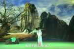 天仙配下载