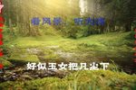姊妹易嫁 选段