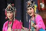 姊妹易嫁 全集