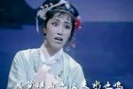 恩怨情 选段