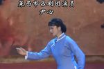 李二嫂改嫁 选段下载