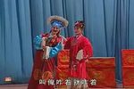 墙头记后传 全集下载