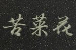 苦菜花 全集