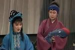 泪洒相思地 选段