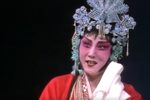 逼婚记 选段下载