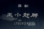 王小赶脚下载