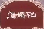 逼婚记下载