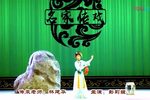 姊妹易嫁下载