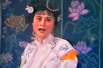 郑盈盈 全集下载