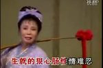 井台会下载