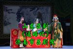 逼婚记 全集下载