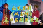 双玉蝉 全集下载