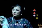 乱世鲁商 全集下载
