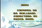玩会跳船 选段