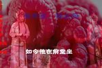 姊妹易嫁 选段