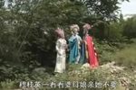 杨家将 第九部之穆桂英下山8